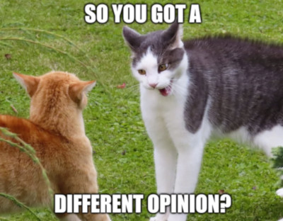 Different Opinions Meme